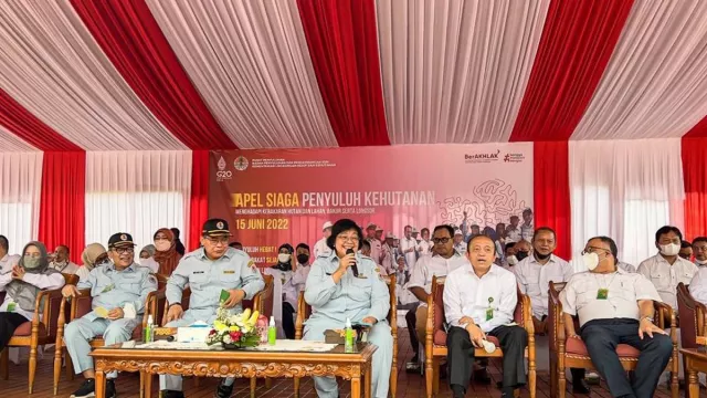 Menteri Siti Beber 5 Pencapaian Langkah Korektif Pemerintah - GenPI.co Menteri Siti Beber 5 Pencapaian Langkah Korektif Pemerintah - GenPI.co