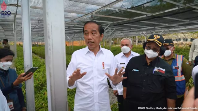 Pakar Apresiasi Upaya Jokowi Jaga Pasokan Pangan Nasional - GenPI.co