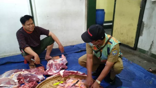 369 Kg Jeroan Sapi dan Domba Kurban Dimusnahkan di Kota Bandung - GenPI.co