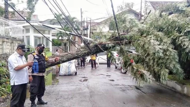 Memasuki Musim Hujan, Hindari Parkir di Bawah Pohon - GenPI.co Memasuki Musim Hujan, Hindari Parkir di Bawah Pohon - GenPI.co