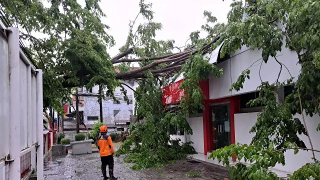 BMKG Sebut Jawa Tengah Bakal Dilanda Cuaca Ekstrem, Waspada! - GenPI.co