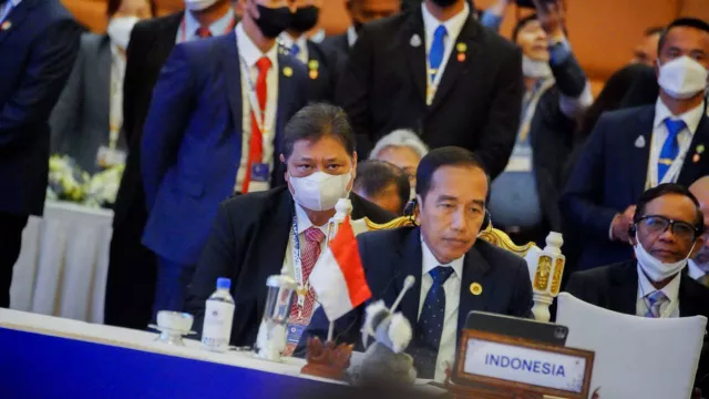 Jokowi Harapkan Kemitraan ASEAN-India Jadi Pendorong Penyelesaian Isu Pangan dan Kesehatan - GenPI.co