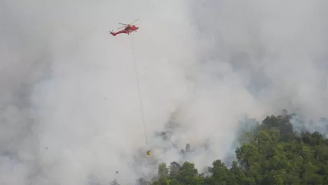 Polisi Buru Pelaku Pembakaran yang Menimbulkan Karhutla di Riau - GenPI.co