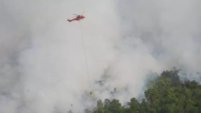 Karhutla di Dumai dan Bengkalis Capai 50 Hektare, Waspada Dampak Asap - GenPI.co