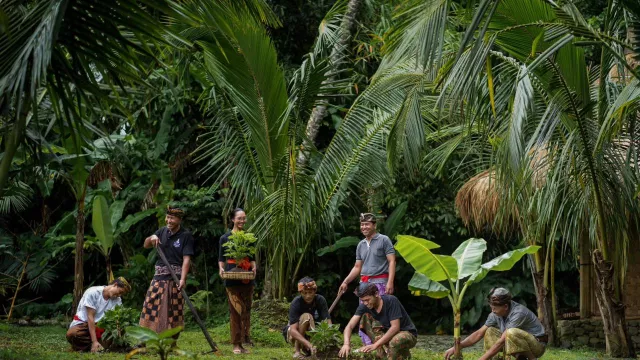 The Apurva Kempinski Bali Luncurkan Pertanian Organik, Gandeng Samsara Museum - GenPI.co