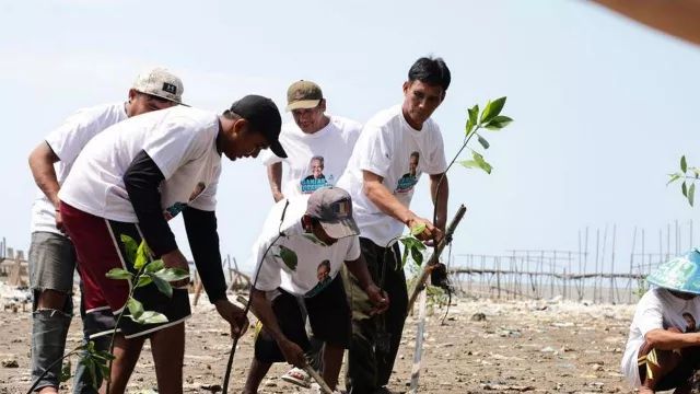 KNP Dukung Ganjar Gelar Edukasi Pohon Mangrove ke Nelayan Karawang - GenPI.co