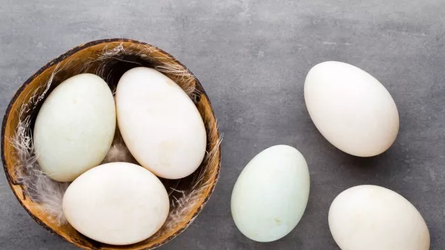 5 Manfaat Makan Telur Bebek Ternyata Dahsyat, Rugi Kalau Tak Suka - GenPI.co