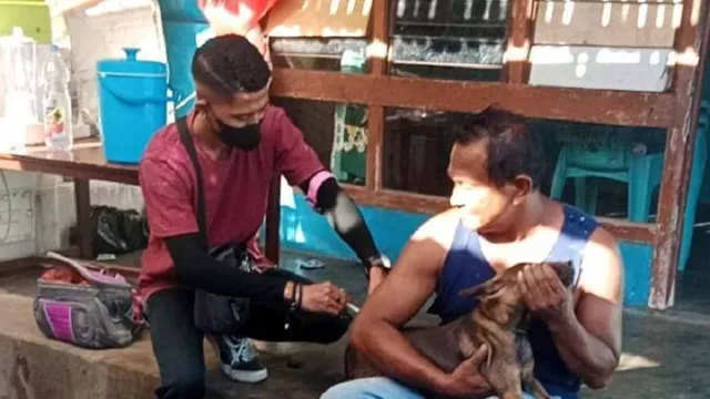 Vaksinasi Hewan Digencarkan Menyusul KLB Rabies di Sikka - GenPI.co