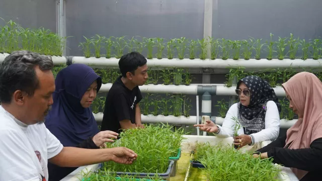 Dukung Inovasi Warga, Orang Muda Ganjar Renovasi Greenhouse - GenPI.co