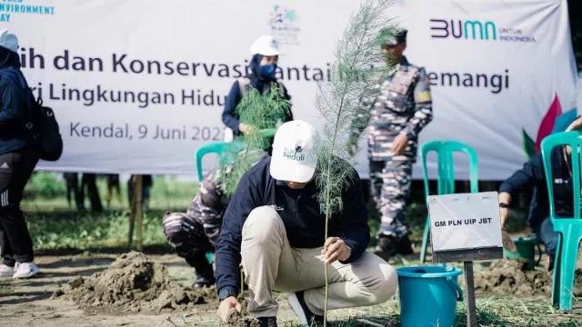 Tanam 10.000 Pohon di Pantai Indah Kemangi, Upaya PLN Lestarikan Lingkungan Hidup - GenPI.co
