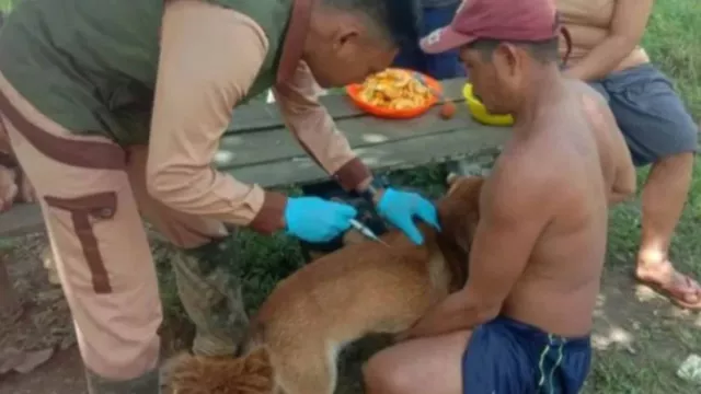 Sebanyak 10 Orang Meninggal Dunia Akibat Rabies di Kalbar - GenPI.co