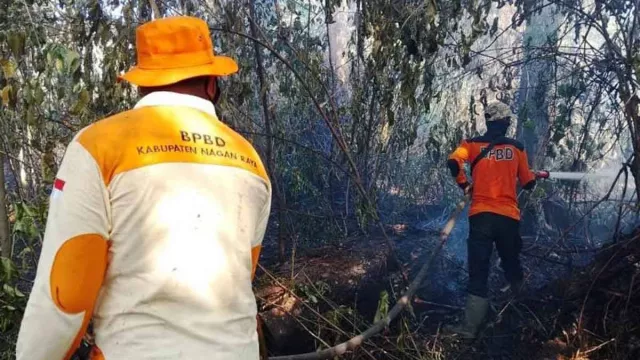 BPBD Sebut Kebakaran Lahan di Nagan Raya Mencapai 13 Hektare - GenPI.co