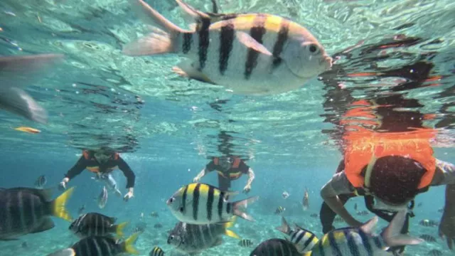 Objek Wisata Laut Sabang Tutup 2 Hari, Termasuk di Iboih Aceh - GenPI.co Objek Wisata Laut Sabang Tutup 2 Hari, Termasuk di Iboih Aceh - GenPI.co