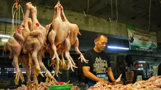 Harga Daging Ayam Masih Tinggi, Ini yang Dilakukan Pemprov Jabar - GenPI.co