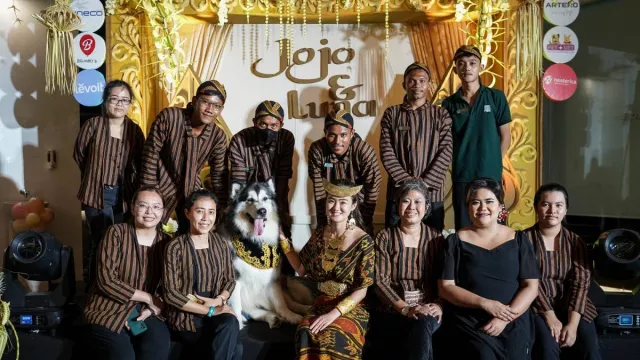 Ballooney Meriahkan Resepsi Pernikahan Jojo & Luna, Sepasang Anjing Alaskan Malamute - GenPI.co