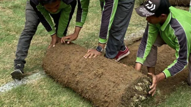 Gulung Rumput JIS Bagian dari Perawatan, Kata Dirut Jakpro - GenPI.co