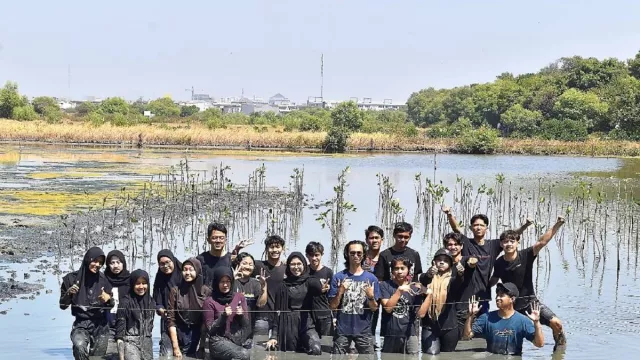 Melestarikan Lingkungan, XL Future Leaders Ajak Mahasiswa ITS Tanam Bibit Mangrove - GenPI.co