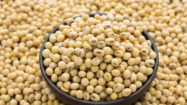 4 Manfaat Makan Kacang Kedelai untuk Kesehatan, Rugi Kalau Tak Suka - GenPI.co