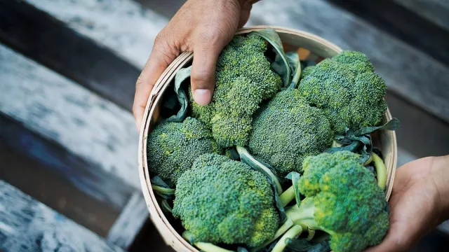 3 Cara Memasak Brokoli dengan Sempurna Seperti di Restoran - GenPI.co