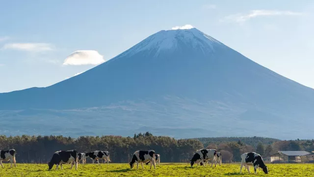 Jepang Membatasi Jumlah Pengunjung yang Ingin Mendaki Gunung Fuji - GenPI.co