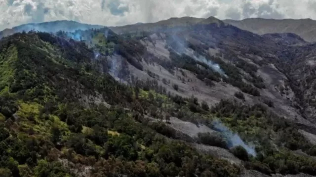 Tok! Terdakwa Kebakaran Hutan Gunung Bromo Divonis 2 Tahun 6 Bulan Penjara dan Denda Rp 3,5 Miliar - GenPI.co