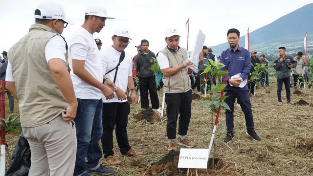 Tanam Pohon Bersama KLHK, PLN UIP JBT Dukung Upaya Menanggulangi Kerusakan Lingkungan - GenPI.co