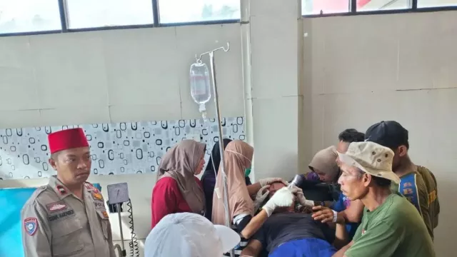 Astaga! Bekerja di Kebun, Warga Suoh Lampung Barat Diterkam Harimau Sumatra - GenPI.co