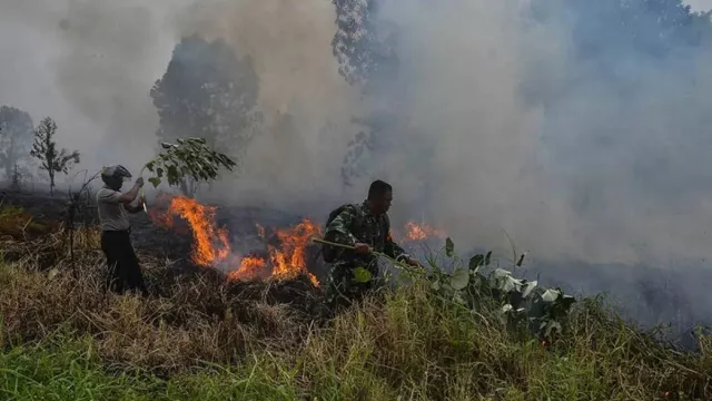 3 Daerah di Riau Darurat Kebakaran Hutan dan Lahan, Ini Titiknya - GenPI.co
