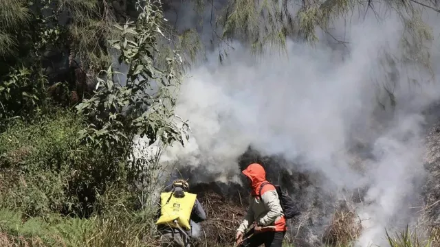 Gunung Batok di Kawasan Gunung Bromo Terbakar, Ini Kondisinya - GenPI.co