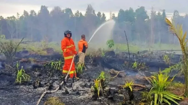 Waspada! BMKG Ingatkan Ada 165 Titik Panas Terdeteksi di Kalimantan Barat - GenPI.co