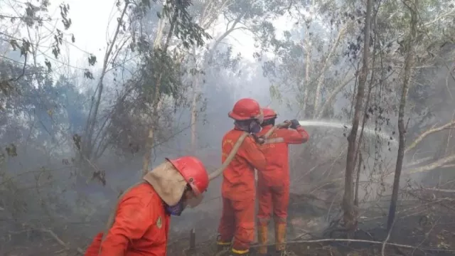 20 Ha Lahan di OKI Sumsel Terbakar, Kualitas Udara di Palembang Memburuk - GenPI.co 20 Ha Lahan di OKI Sumsel Terbakar, Kualitas Udara di Palembang Memburuk - GenPI.co