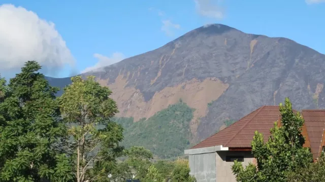 Lahan Seluas 286 Ha di Bukit Anak Dara Gunung Rinjani Terbakar - GenPI.co