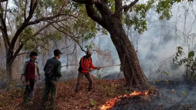 2,18 Hektare Hutan dan Lahan di Taman Nasional Baluran Situbondo Kebakaran - GenPI.co 2,18 Hektare Hutan dan Lahan di Taman Nasional Baluran Situbondo Kebakaran - GenPI.co