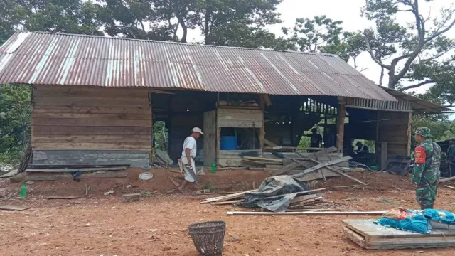 Waduh! Kawanan Gajah Liar Rusak Rumah Warga di Lampung Barat, Ini Kondisinya - GenPI.co