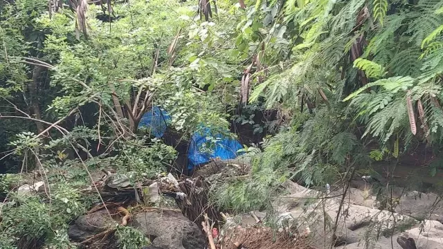 Bikin Sedih! Terseret Arus Banjir, Gajah Bali Zoo Molly Ditemukan Mati - GenPI.co