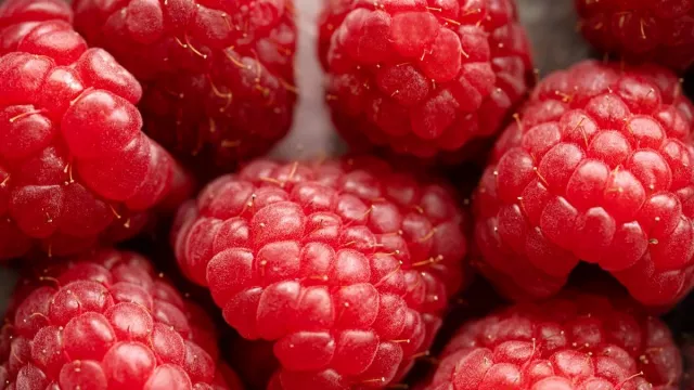 Raspberry, Buah Kecil dengan Manfaat Besar untuk Kesehatan - GenPI.co