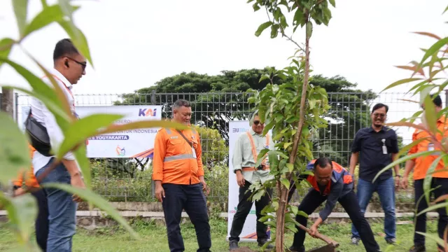 Dari Tabebuya hingga Mangga, Daop 6 Yogyakarta Tanam Pohon di 8 Stasiun - GenPI.co