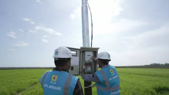 Electrifying Agriculture PLN Raih 53.539 Pelanggan Baru pada 2024 - GenPI.co