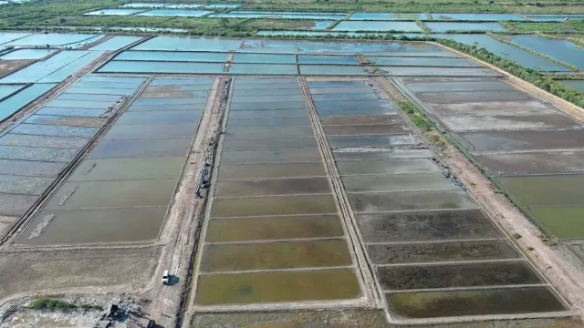 Pemerintah Longgarkan Impor Garam Hingga Industri Siap 2027 - GenPI.co Pemerintah Longgarkan Impor Garam Hingga Industri Siap 2027 - GenPI.co