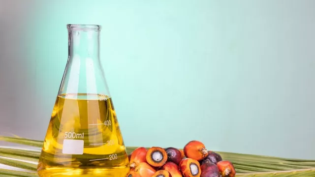 4 Manfaat Minyak Kelapa Sawit bagi Tubuh, Lebih dari Sekadar Bahan Masakan - GenPI.co 4 Manfaat Minyak Kelapa Sawit bagi Tubuh, Lebih dari Sekadar Bahan Masakan - GenPI.co