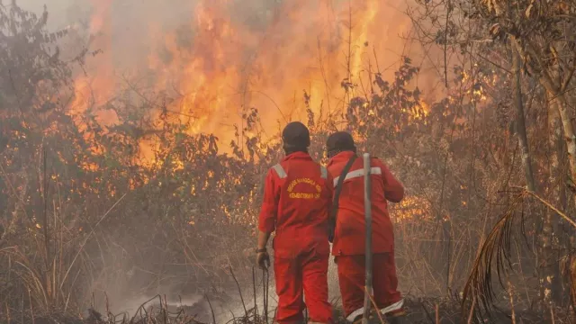 12 Wilayah di Riau Dilanda Karhutla, Luasan Terbesar Sepanjang 2025 - GenPI.co 12 Wilayah di Riau Dilanda Karhutla, Luasan Terbesar Sepanjang 2025 - GenPI.co