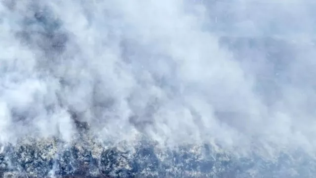 Lahan Gambut 264 Hektare di Jambi Terbakar, Pemadaman Terkendala Air dan Medan - GenPI.co Lahan Gambut 264 Hektare di Jambi Terbakar, Pemadaman Terkendala Air dan Medan - GenPI.co
