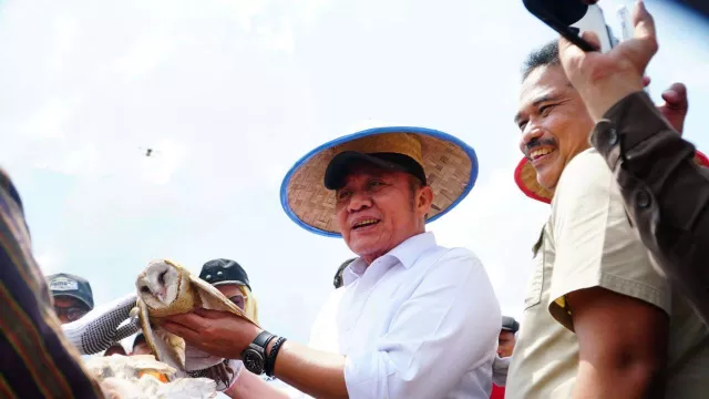 Menuju Swasembada, Gubernur Herman Deru Tegaskan Kedisiplinan Kunci Sukses Petani Sumsel - GenPI.co