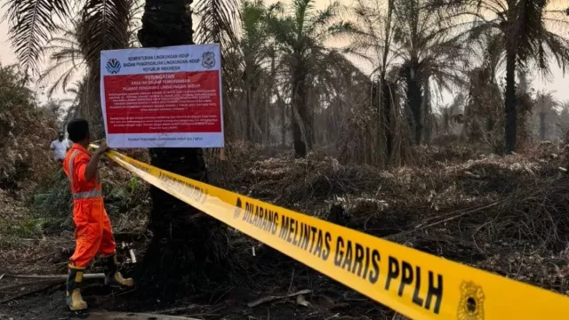Karhutla Riau, 4 Perusahaan dan 1 Pabrik Sawit Disegel dan Dilarang Beroperasi - GenPI.co