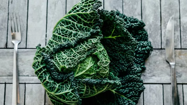 Kale Bisa Bantu Lindungi Tulang dan Usus, Nutrisi Melimpah - GenPI.co Kale Bisa Bantu Lindungi Tulang dan Usus, Nutrisi Melimpah - GenPI.co