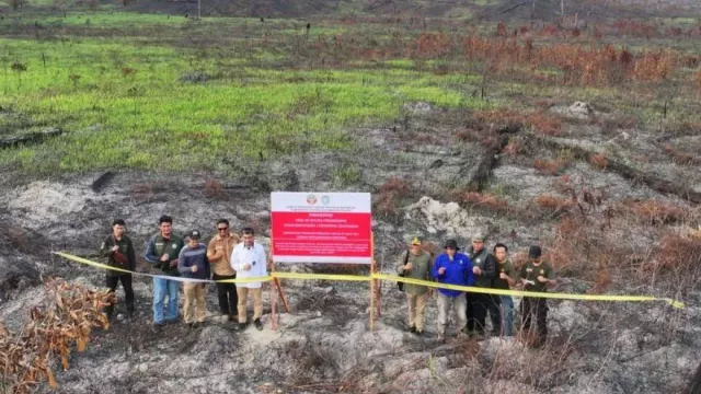 Kebakaran Hutan 400 Ha, 2 Perusahaan Konsesi di Kalbar Disegel dan Terancam Pidana - GenPI.co