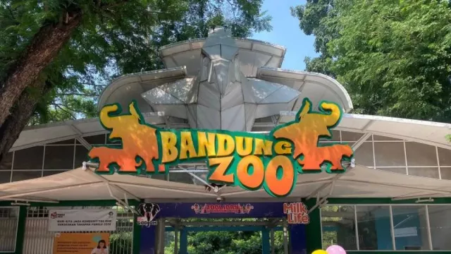 PKBSI Siap Bantu Kelola Bandung Zoo Asal Tak Ditutup demi Satwa dan Karyawan - GenPI.co