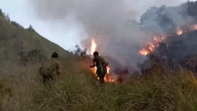 Api Lalap 70 Hektare Savana di Taman Nasional Gunung Rinjani, Vegetasi Rusak - GenPI.co Api Lalap 70 Hektare Savana di Taman Nasional Gunung Rinjani, Vegetasi Rusak - GenPI.co