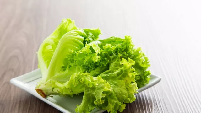 4 Jenis Selada Paling Sehat dan Kaya Nutrisi, Cocok untuk Diet - GenPI.co 4 Jenis Selada Paling Sehat dan Kaya Nutrisi, Cocok untuk Diet - GenPI.co