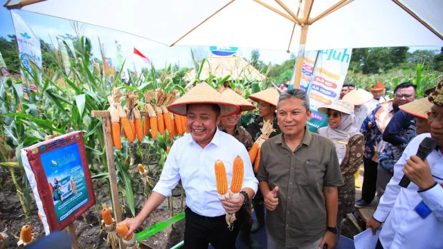 Sumsel Masuk Lima Besar Nasional - GenPI.co Sumsel Masuk Lima Besar Nasional - GenPI.co